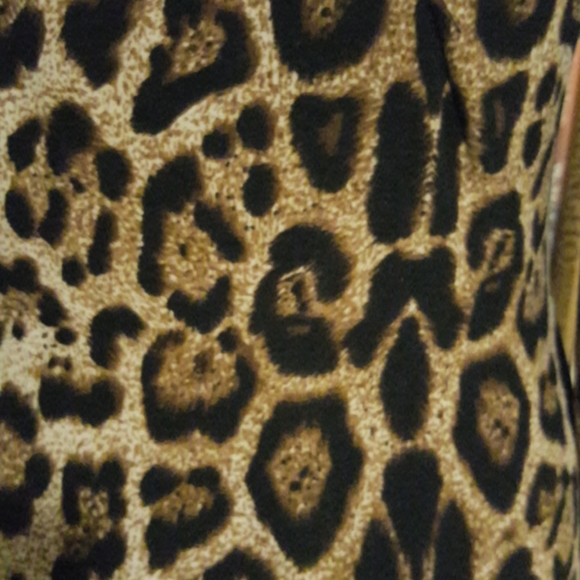 Leopard print dress - Picture 5 of 5
